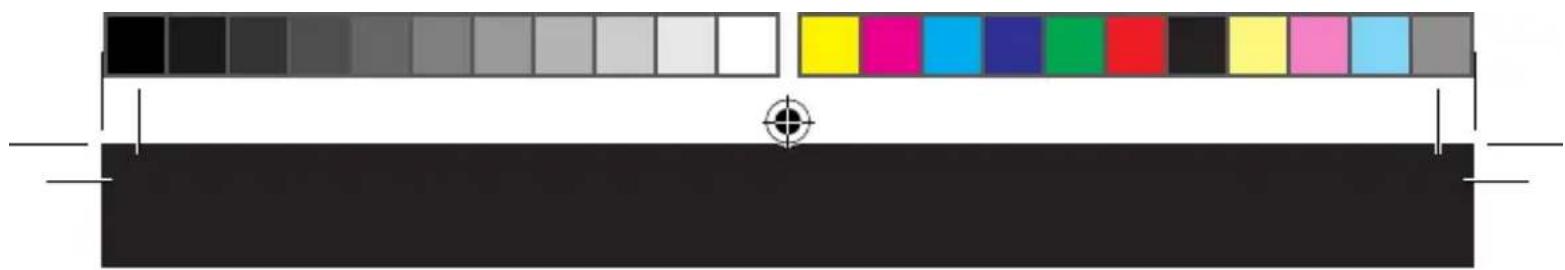 TAURUS Cairo Slim 650 - Anomalii si reparatii - 2