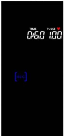 TAURUS IC90 Pro - AVERTISSEMENT - 1