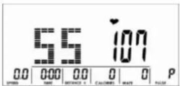 Skandika Centaurus - SELECTION DE L'ENTRAJINEMENT - 1