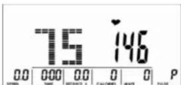 Skandika Centaurus - SELECTION DE L'ENTRAJINEMENT - 4