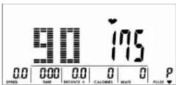 Skandika Centaurus - SELECTION DE L'ENTRAJINEMENT - 2