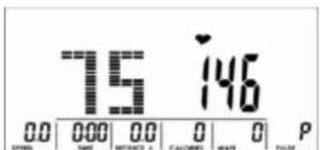 Skandika Centaurus - TRAININGSAUSWAHL - 2