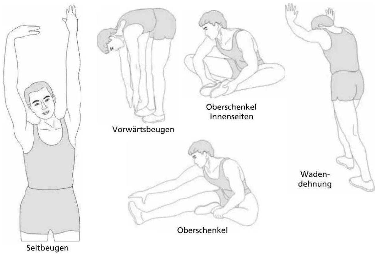 Skandika Ulisses - STRETCHING - 1