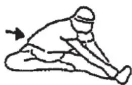 Christopeit CL 3 - Warm up exercises (Warm Up) - 3