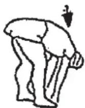 Christopeit CL 3 - Warm up exercises (Warm Up) - 2