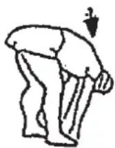 Christopeit CL 3 - Zahrvacicen (zahrati) - 2