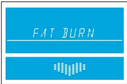 Life Fitness RS1 Go - Exercice Fat Burn (Élimination des graisses) - 1