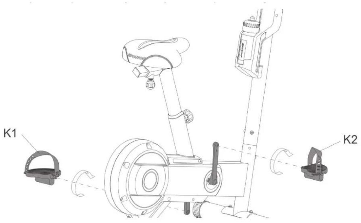 Cardiostrong BX50 - PRUDENCE - 1