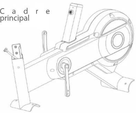 Cardiostrong BX50 - PRUDENCE - 1