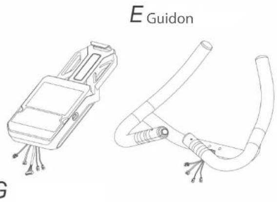 Cardiostrong BX50 - PRUDENCE - 2