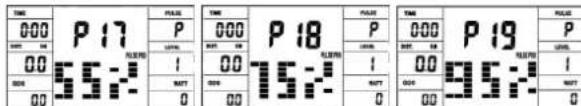 Christopeit AL 2 - P17-P19: Nylba-cnporpamMbI - 1