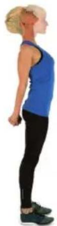 Capital Sports Azura X2 - WARMING UP BEFORE A WORKOUT - 1