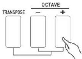 CASIO XWP1 - Pour changer la hauteur par octaves, utilisez les touches 17 OCTAVE moins (-) et plus (+) (sans tener 17 TRANSPOSE enforcé) - 1