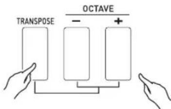 CASIO XWP1 - Pour changer la hauteur par demi-tons, maintenez ⑦ TRANSPOSE enforcé tout en appuyant sur la touche ⑦ OCTAVE moins (-) ou plus (+). - 2