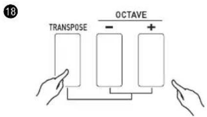 CASIO XWG1 - Changement de la hauteur des notes par demi-tons (Transposition) ou par octaves (Décalage d'octaves) - 1