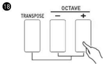 CASIO XWG1 - Changement de la hauteur des notes par demi-tons (Transposition) ou par octaves (Décalage d'octaves) - 2