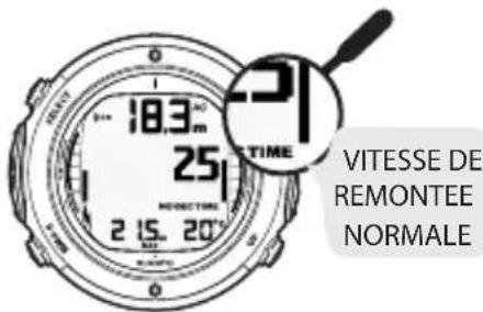 SUUNTO D6i - Indicateur de vitesse de remontée - 1