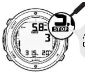 SUUNTO D6i - Paliers de décompression recommends - 1
