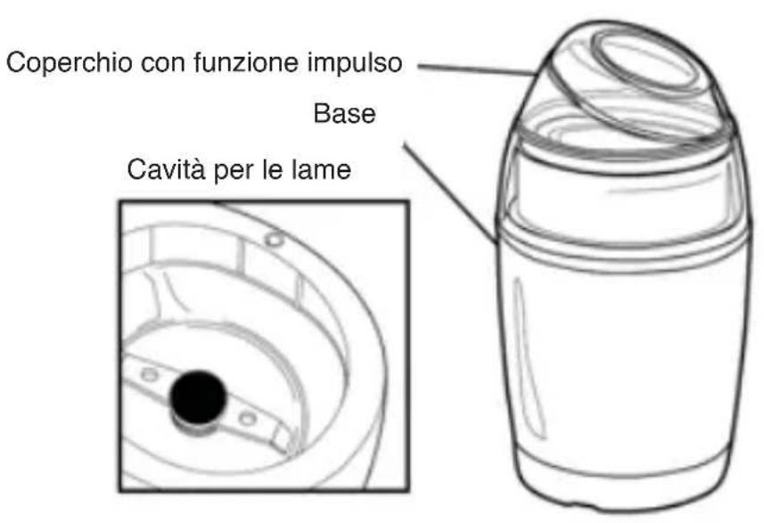 Duronic CG150 - Conoscere le parti del proprio macinacaffè - 1