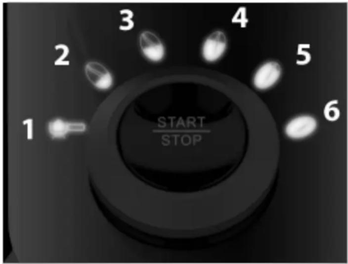 CASO Coffee Flavour 1830 - HINWEIS Please note - 1