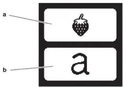 a b a