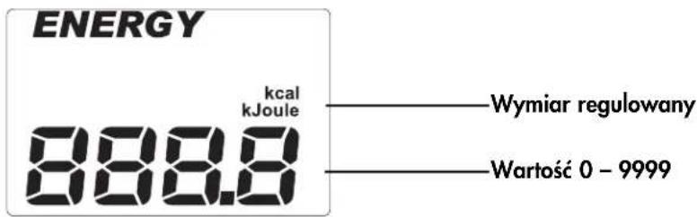 KETTLER X3 - Wskazywane wartości - 7