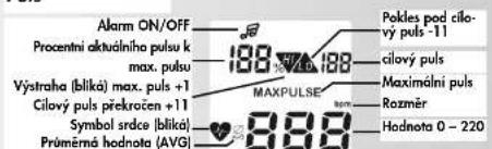 KETTLER Unix EX - Puls - 1