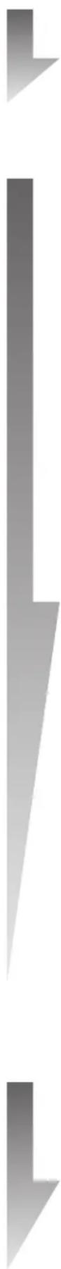 KETTLER Polo M - Target pulse input - 1