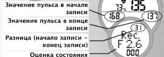KETTLER Golf P Eco - PekomeHdaaun no npoBeHeu TpeHnpOBOK n pyKOBOCTBO no 3KcNpyaun - 5