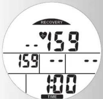KETTLER Avus - Alarm signal, hvis maxpulsen opnas. - 21