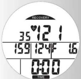 KETTLER Avus - Zielpulseingabe - 36