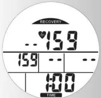 KETTLER Avus - Or - 42