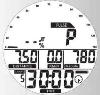 KETTLER Avus - Zielpulseingabe - 27