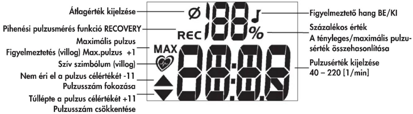 KETTLER Golf M - Pulzus (PULSE) - 2