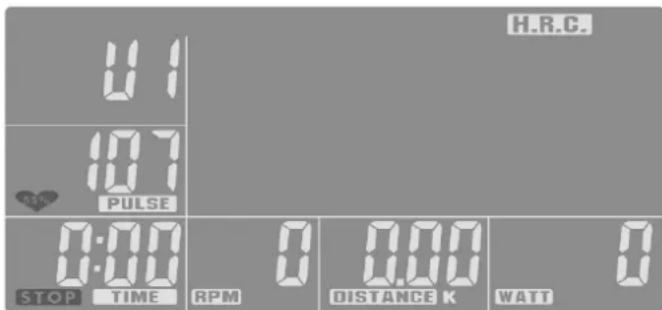 KETTLER Challenge 5.0 - Training - 7
