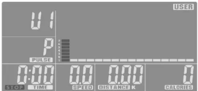 KETTLER Challenge 5.0 - Training - 8