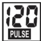KETTLER Challenge 5.0 - PULSE Polsslag / Hartslagfrequentie - 1