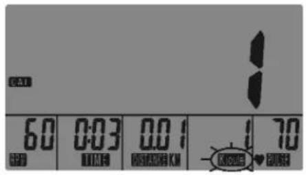 KETTLER Moto M - Zakres wskazan / Wyświetlacz - 7