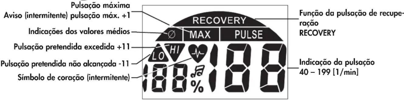 KETTLER Rivo M - Pulsao (PULSE) - 2