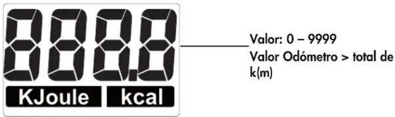 KETTLER Rivo M - Velocidad - 2