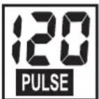 KETTLER ALPHA 507 - PULSE (droite) - 1