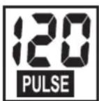 KETTLER ALPHA 507 - PULSE (derecha) - 1