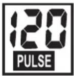 KETTLER ALPHA 507 - PULSE (rechts) - 1