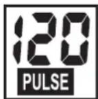 KETTLER ALPHA 507 - PULSE (po prawej) - 1