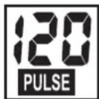 KETTLER ALPHA 507 - PULSE (rechts) - 1