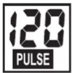 KETTLER ALPHA 507 - PULSE (right) - 1