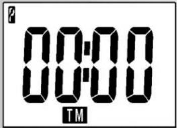 P 00:00 00:00 TM