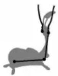 KETTLER Axos CYCLE PLA - Computerstoringen - 2