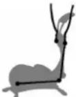KETTLER Giro P - With breast clip - 2