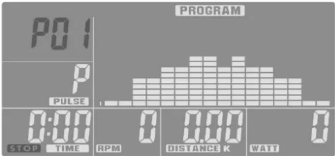PROGRAM P0 1 P PULSE 0:00 STOP TIME RPM 0 0.00 DISTANCE K WAIT 0